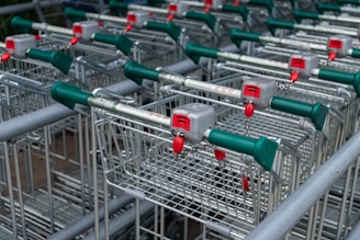A collection of metal shopping carts with green and red handles are lined up in rows. Each cart includes a lock mechanism with a chain attached to the handle.