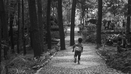 A child is running down a pathway made of stones in a wooded area. The path is lined with tall trees and some small plants. In the background, a group of people can be seen gathered near a small hut or gazebo, which has a thatched roof. The scene appears to be set in a natural, forested environment.
