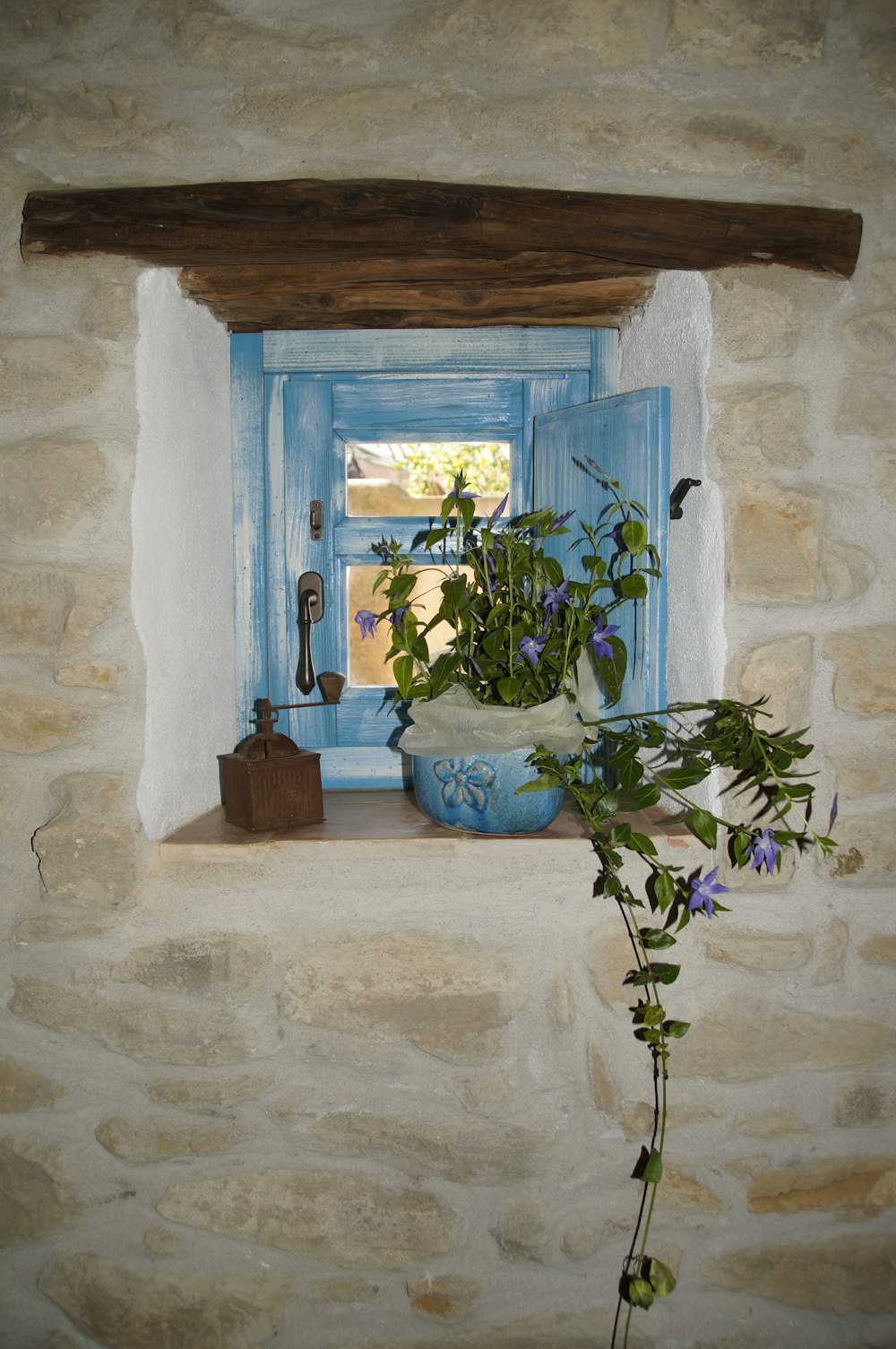 흰색 콘크리트 벽에 파란색 화분에 심은 녹색 식물