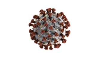 A digitally rendered image of a virus particle with a spherical core and spike-like projections extending outward. The core appears grey with textured detail, while numerous brown projections cover the surface in a symmetrical pattern.