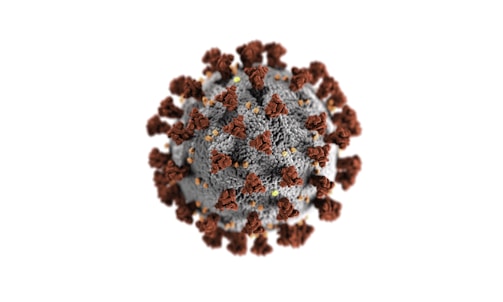 A digitally rendered image of a virus particle with a spherical core and spike-like projections extending outward. The core appears grey with textured detail, while numerous brown projections cover the surface in a symmetrical pattern.