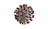 A digitally rendered image of a virus particle with a spherical core and spike-like projections extending outward. The core appears grey with textured detail, while numerous brown projections cover the surface in a symmetrical pattern.