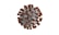 A digitally rendered image of a virus particle with a spherical core and spike-like projections extending outward. The core appears grey with textured detail, while numerous brown projections cover the surface in a symmetrical pattern.