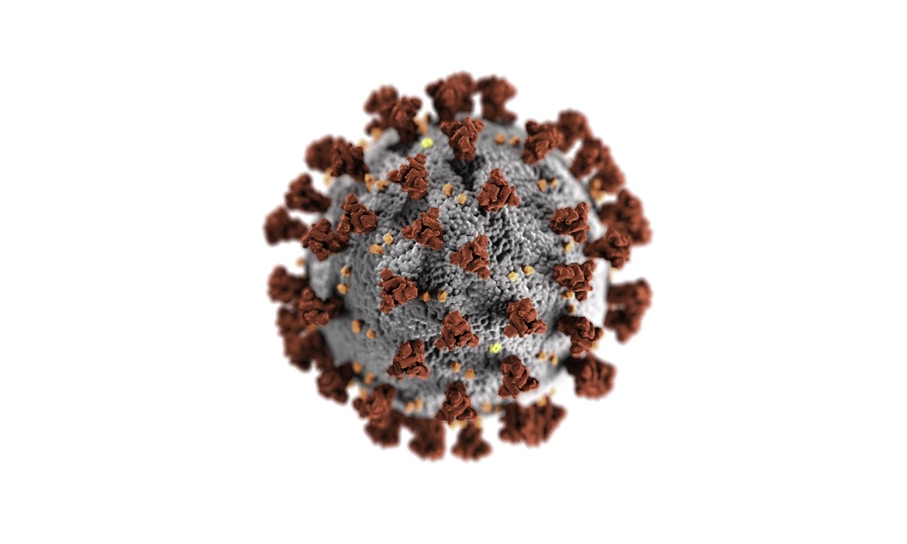 A digitally rendered image of a virus particle with a spherical core and spike-like projections extending outward. The core appears grey with textured detail, while numerous brown projections cover the surface in a symmetrical pattern.