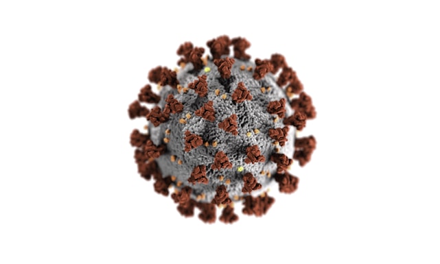 A digitally rendered image of a virus particle with a spherical core and spike-like projections extending outward. The core appears grey with textured detail, while numerous brown projections cover the surface in a symmetrical pattern.