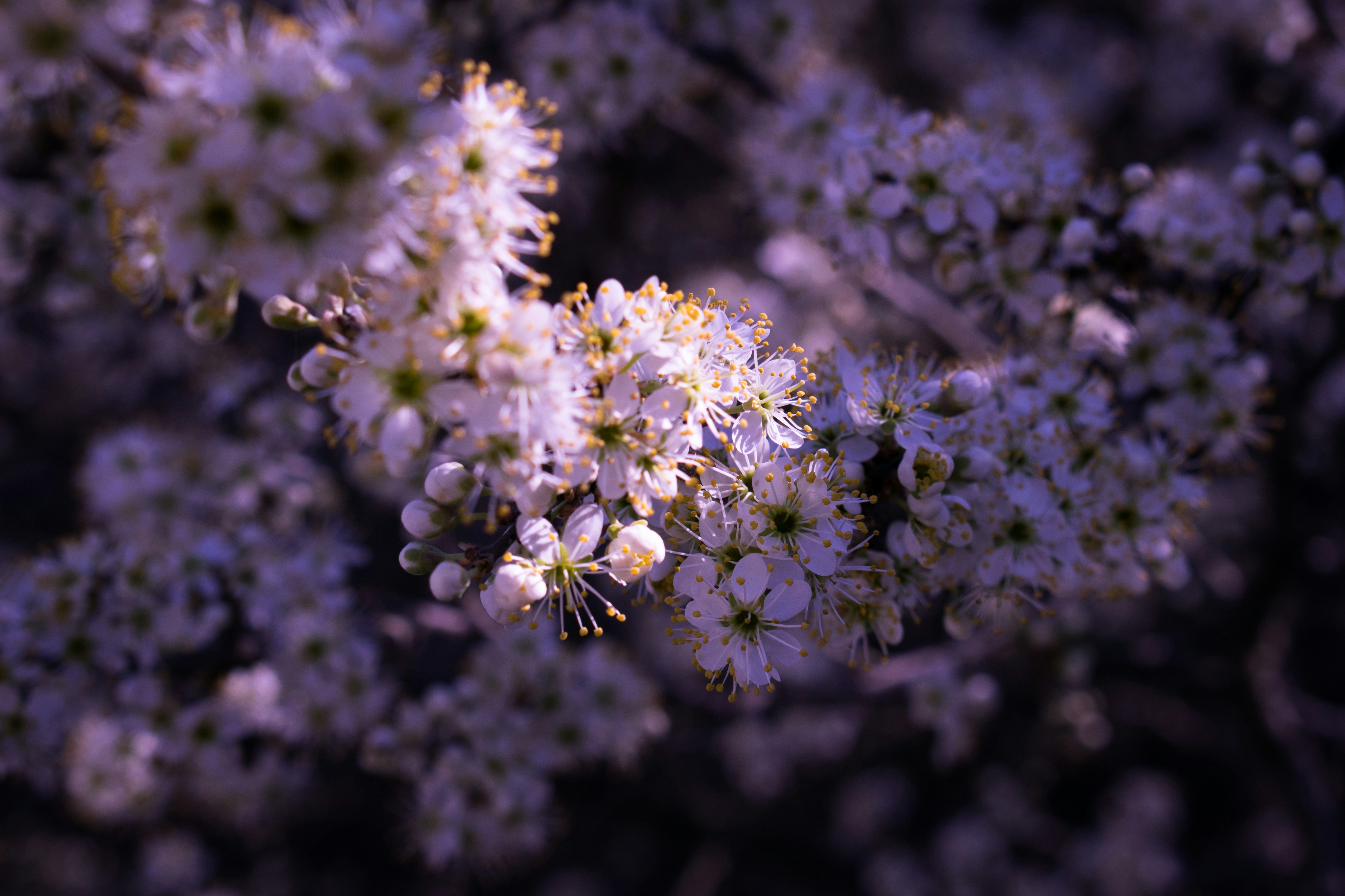 Photo by margagreta_96