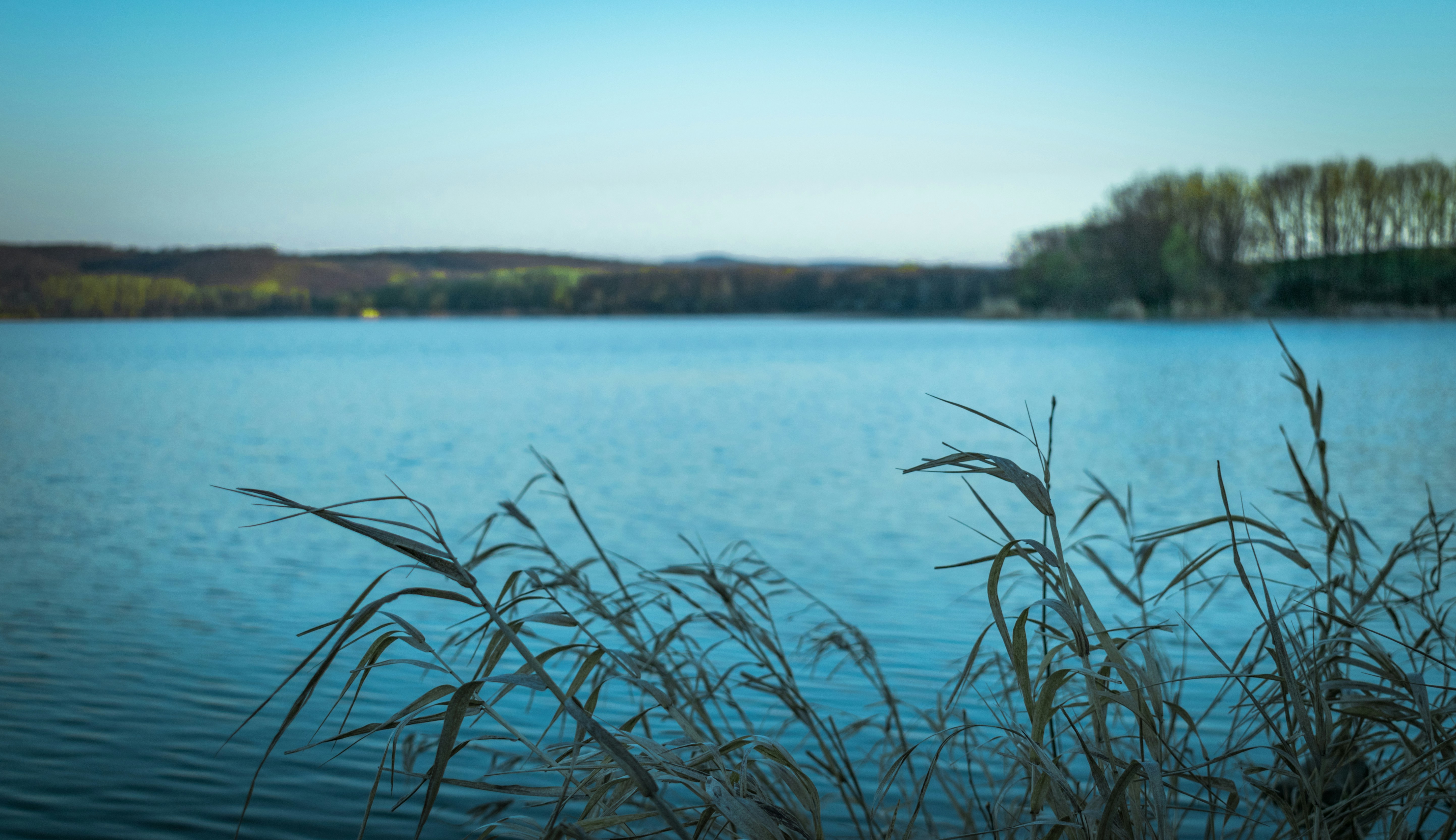 Photo by margagreta_96