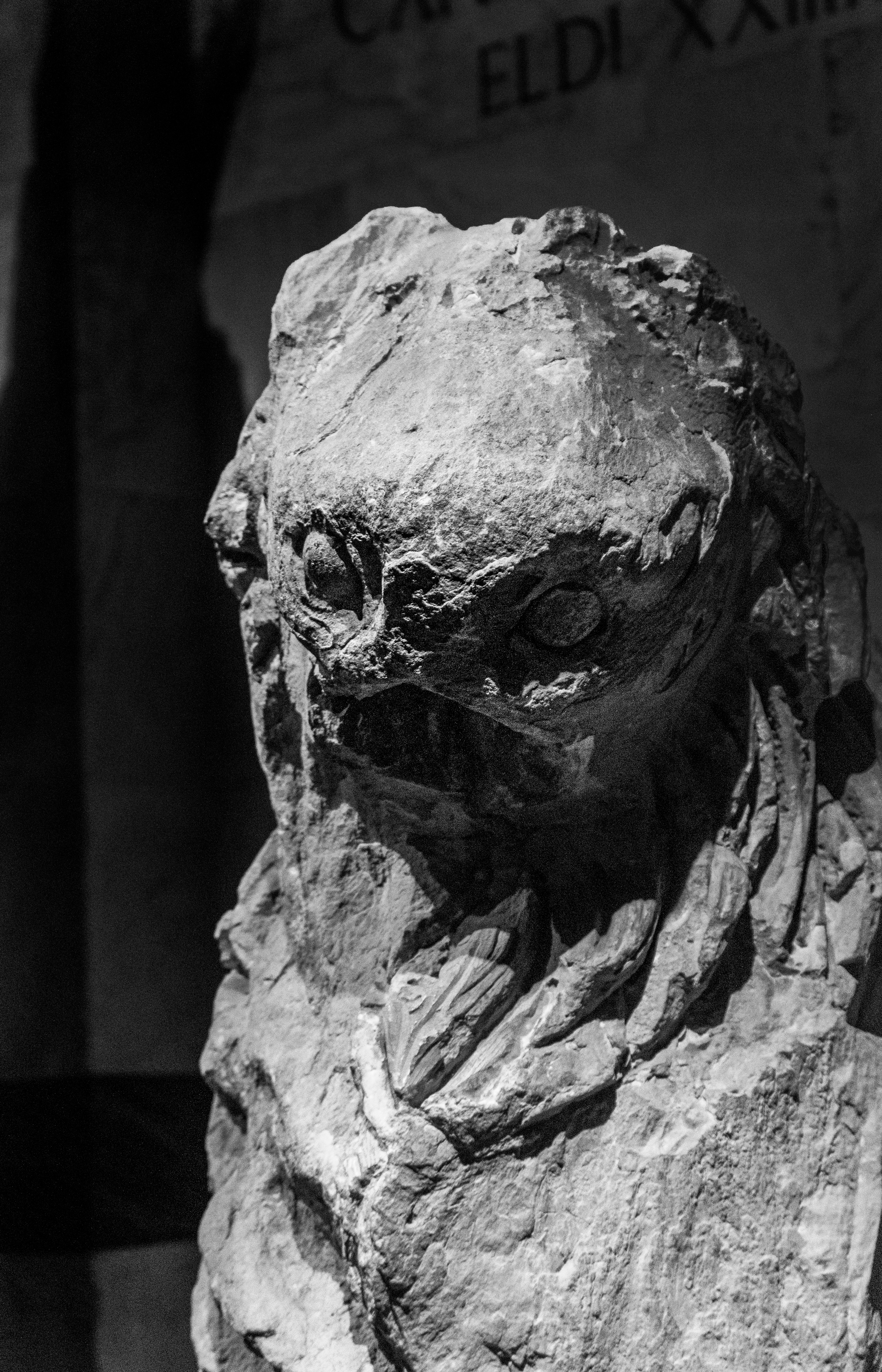 Photo by emilie_crssrd