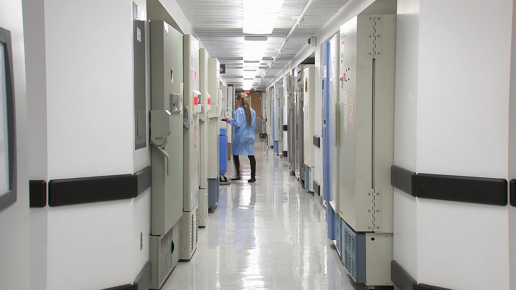 Specimen transport in a medical facility corridor — Medical Courier Services