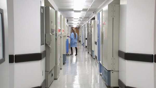 Hospitals & Health