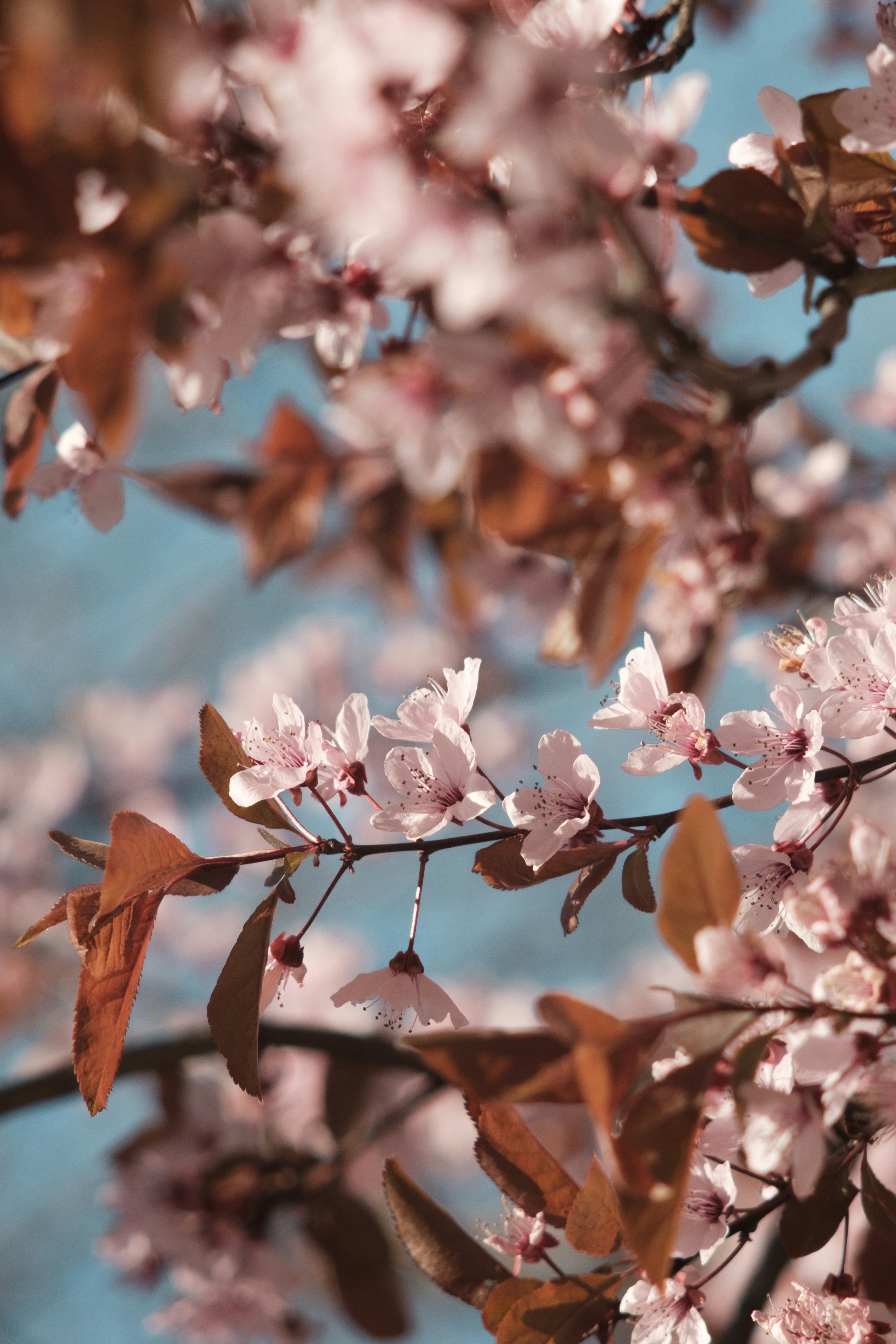 Photo by tulacsucson