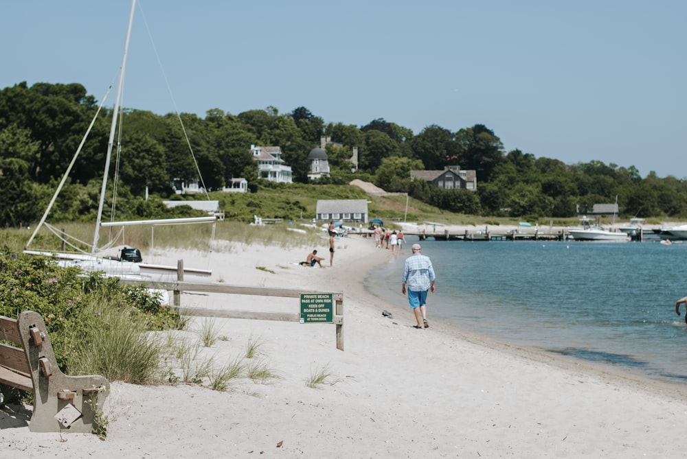 people on beach during daytime