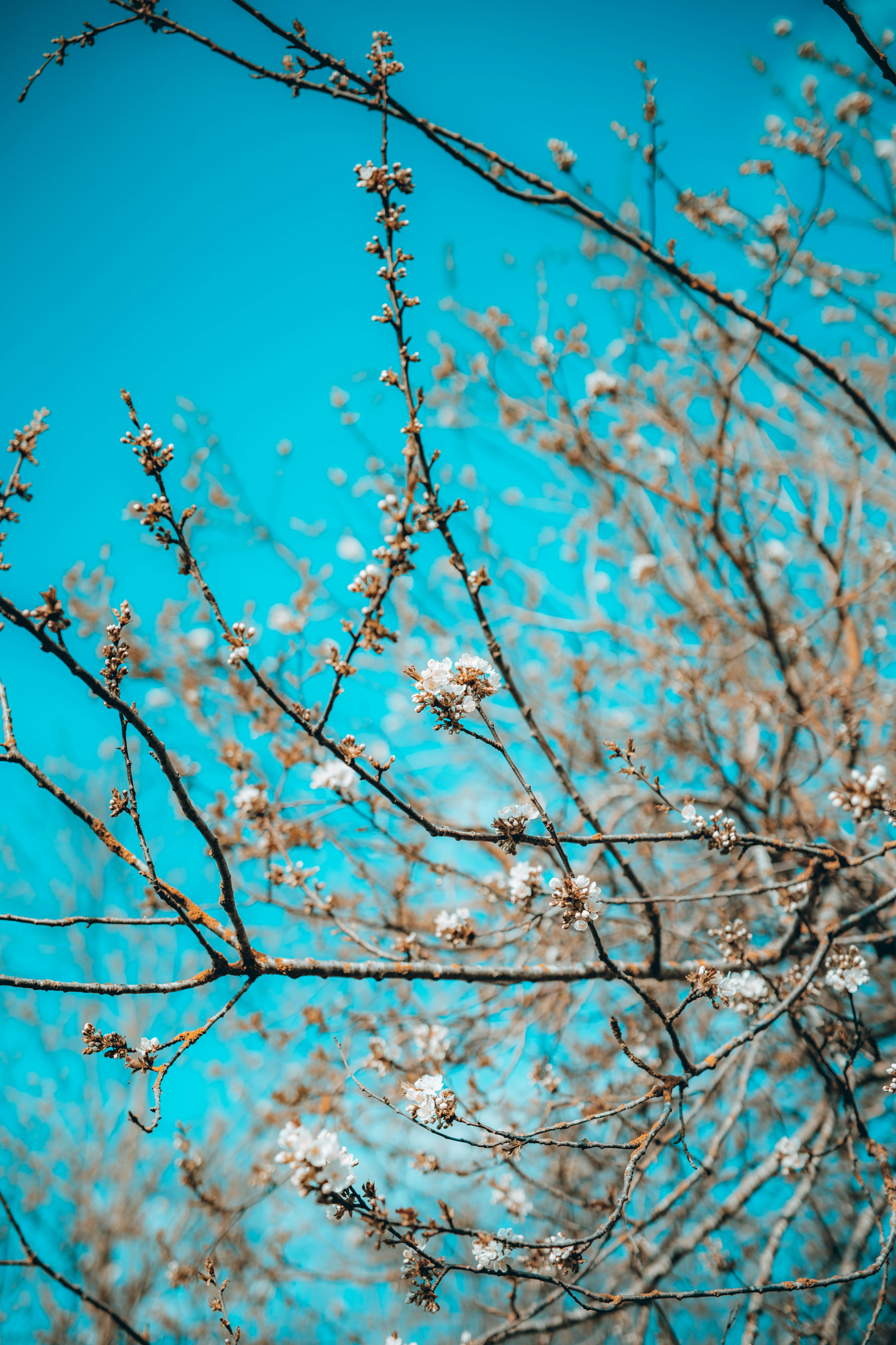 Photo by martzzl