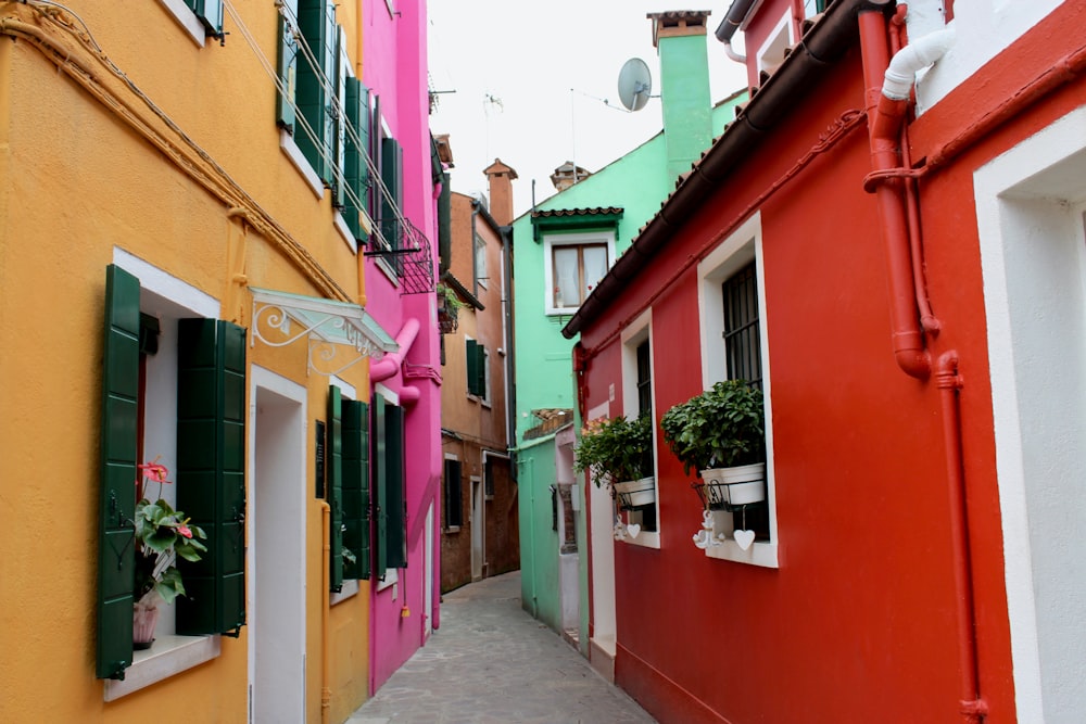 pink and brown concrete houses