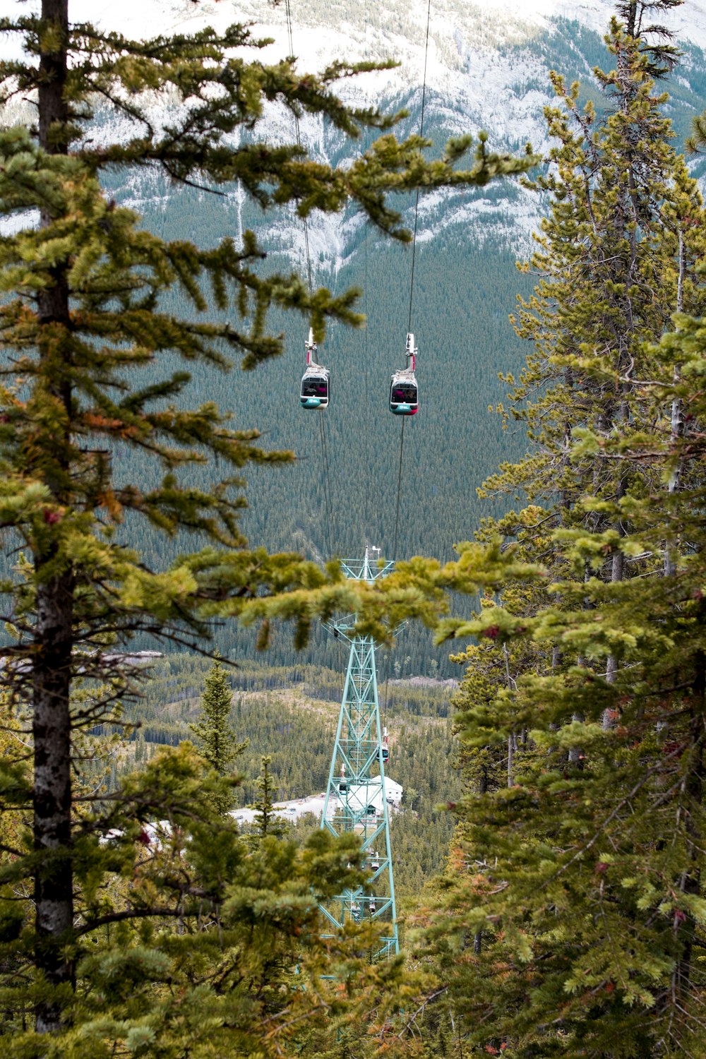 red cable car over green pine trees during daytime