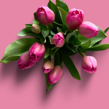 Cover Image for International Women's Day Celebration š