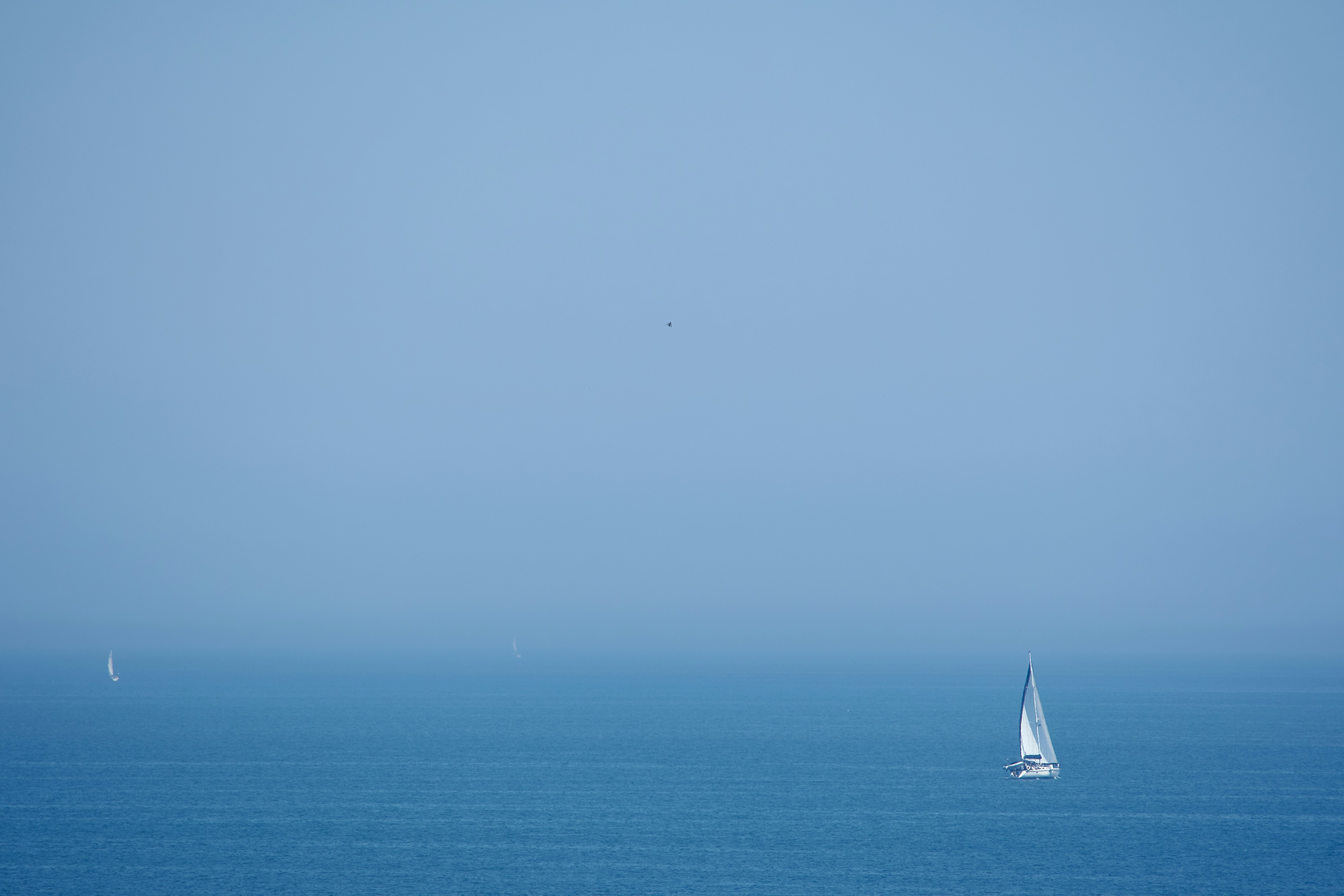 Photo by wolfgang_hasselmann