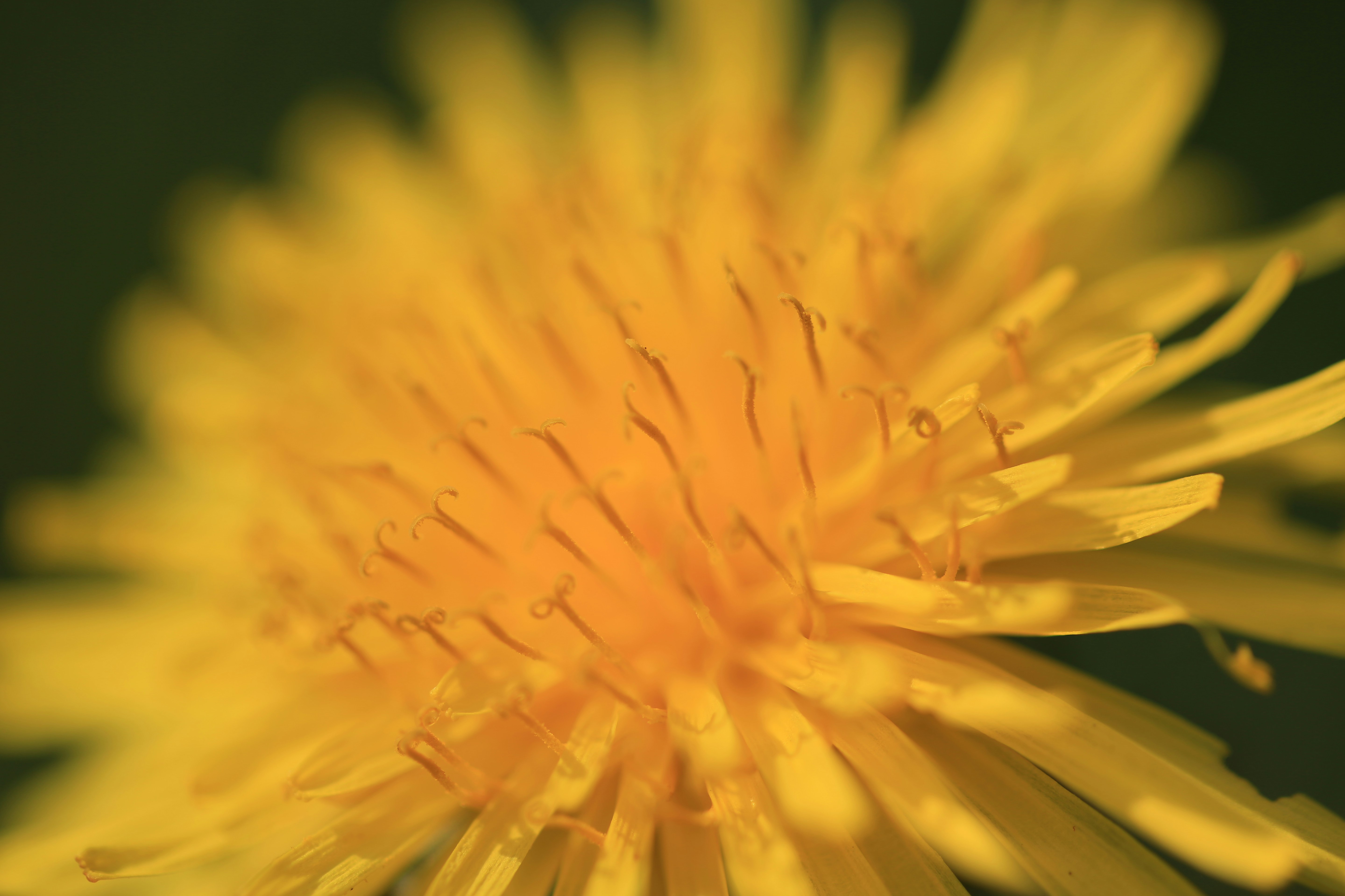 Photo by robpumphrey