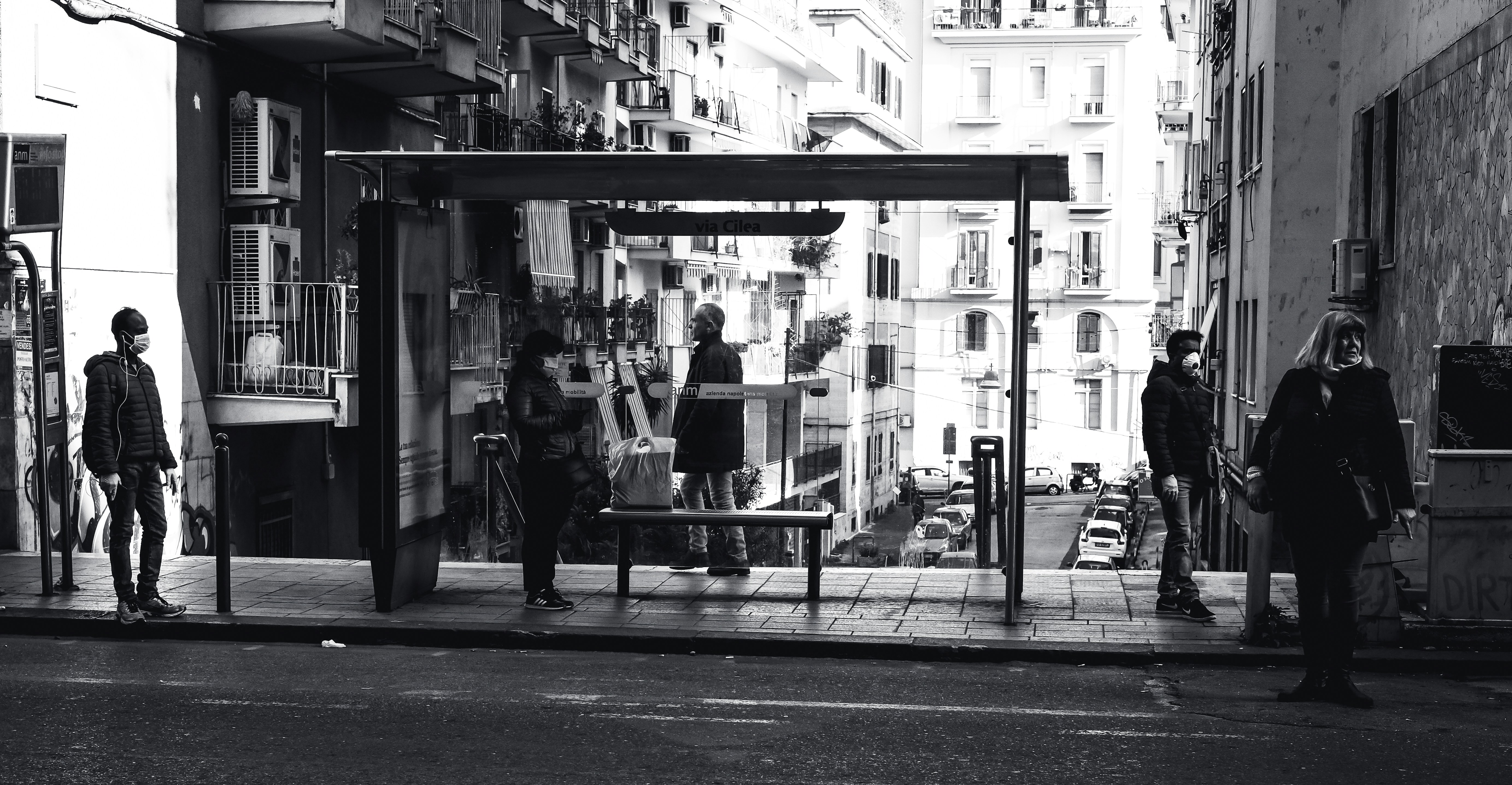 Image by Giuseppe Argenziano via Unsplash