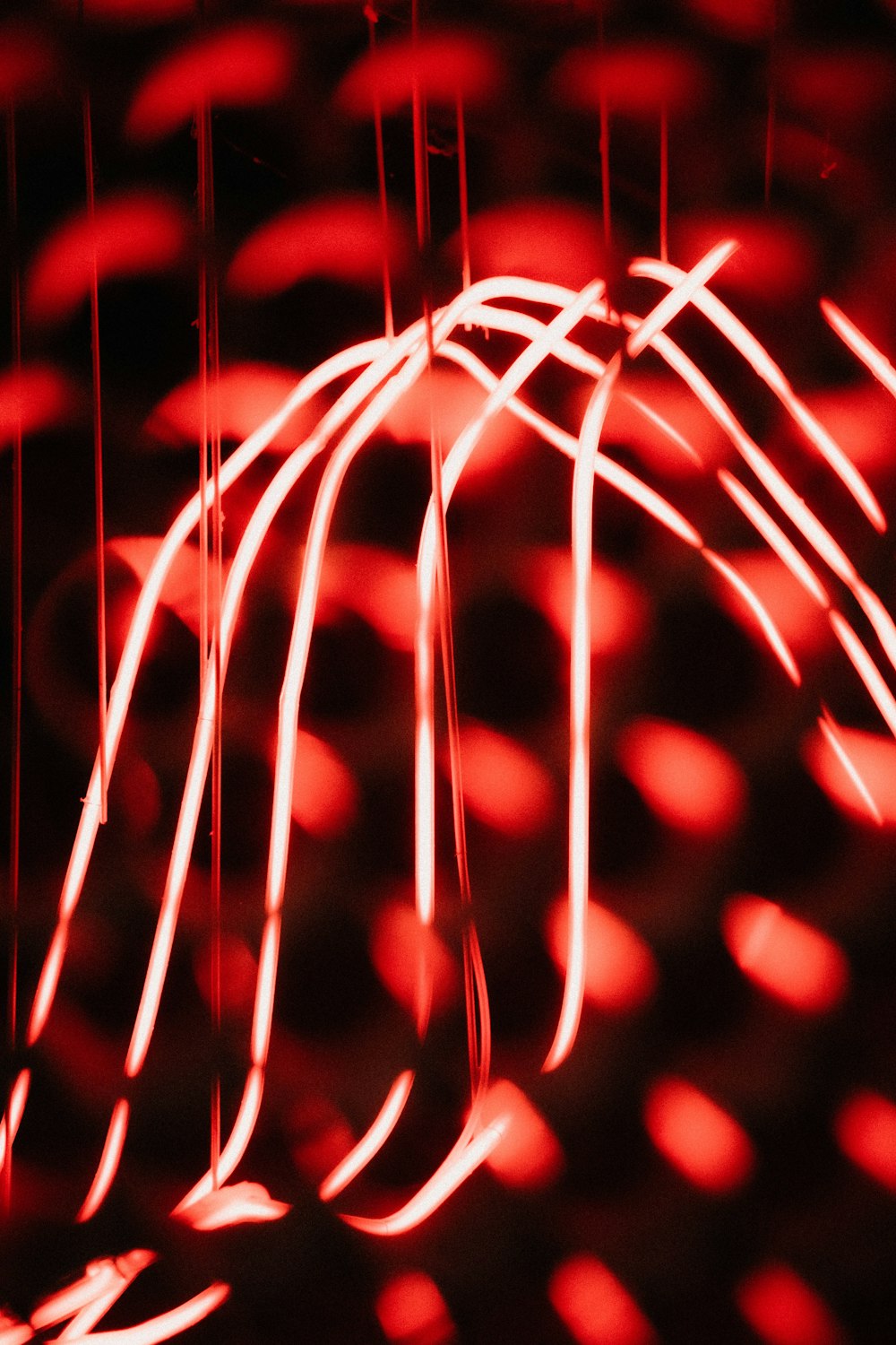 red and white light bokeh