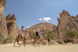people riding camel on brown sand during daytime
