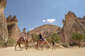 people riding camel on brown sand during daytime