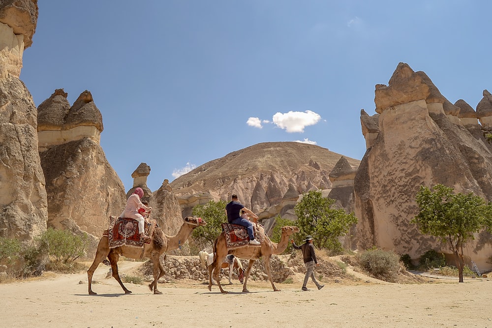 Menschen, die tagsüber auf braunem Sand auf Kamelen reiten