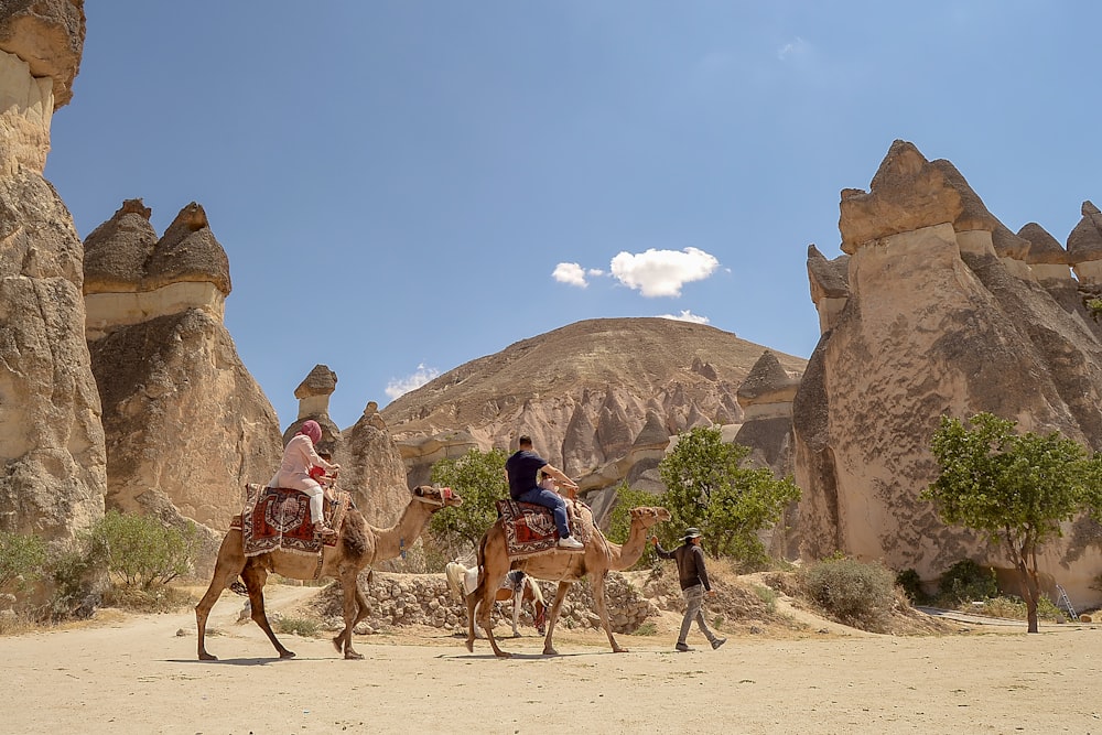 people riding camel on brown sand during daytime