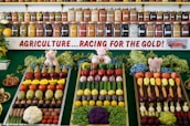 A colorful display of fruits and vegetables is organized in neat rows on three trays, surrounded by greenery and small stuffed animal figurines. Behind the display, shelves are filled with jars containing preserves and pickled goods. A banner with the text 'AGRICULTURE...RACING FOR THE GOLD!' is prominently featured.