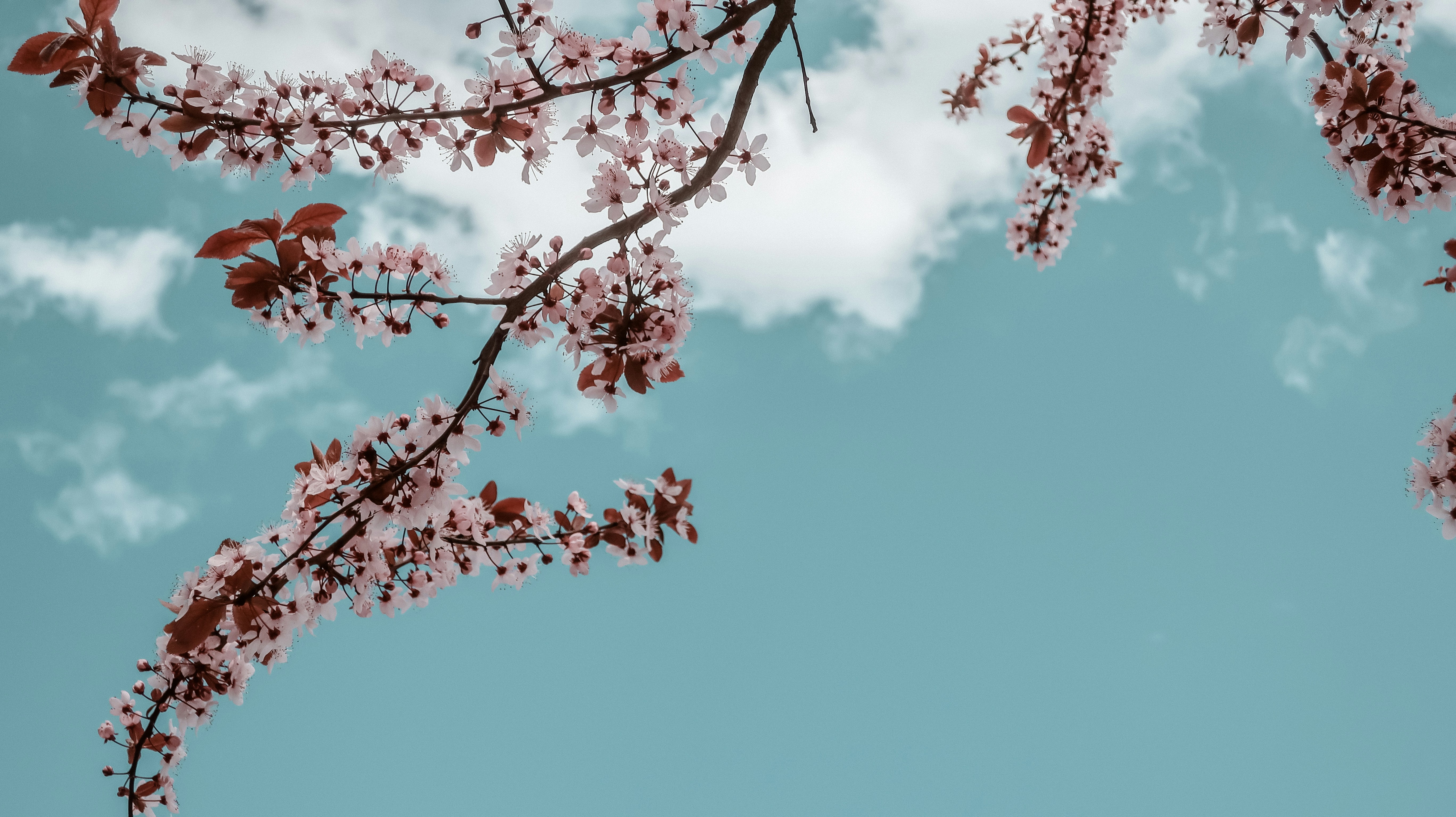 Photo by etonepravda