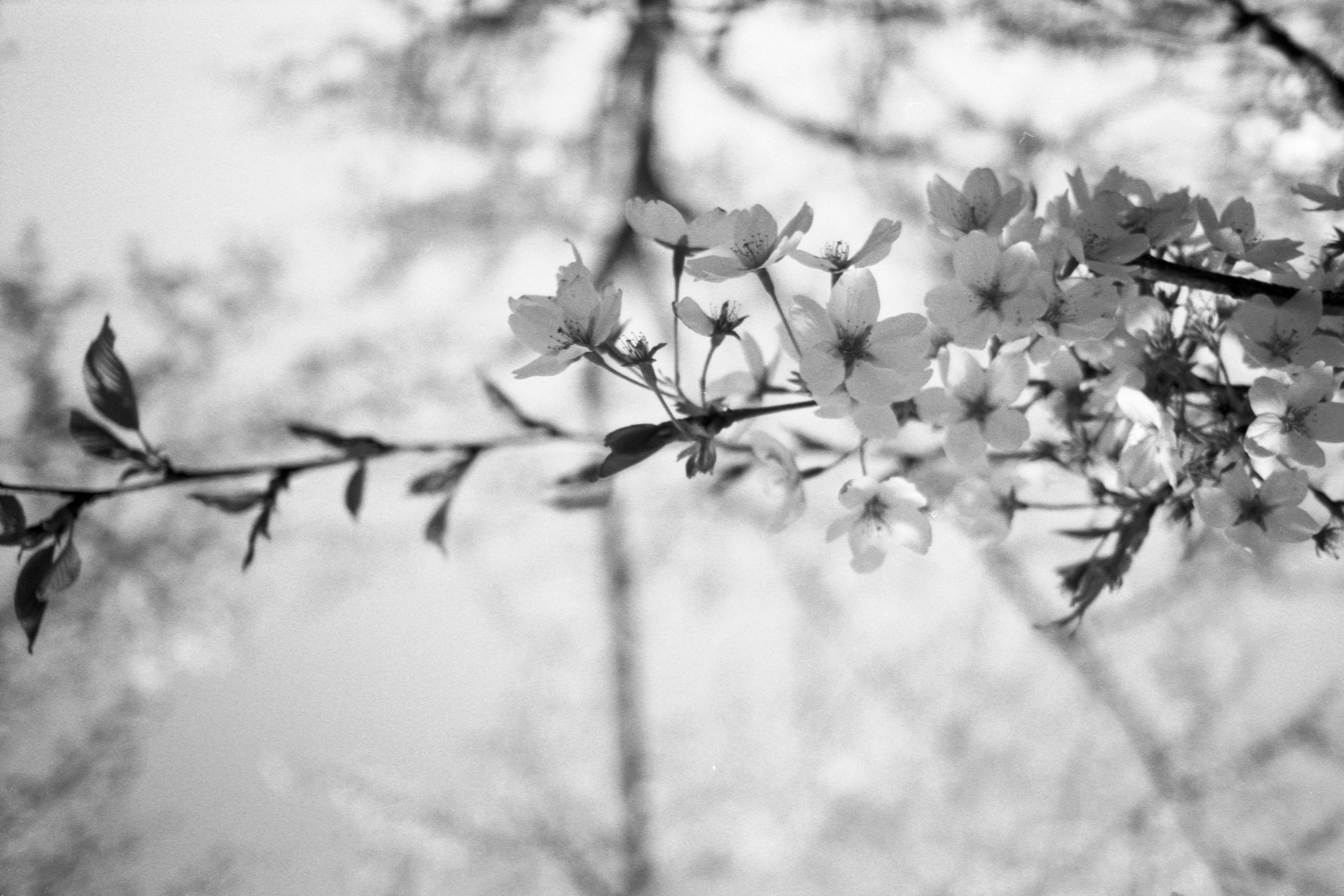 Photo by jeancarloemer