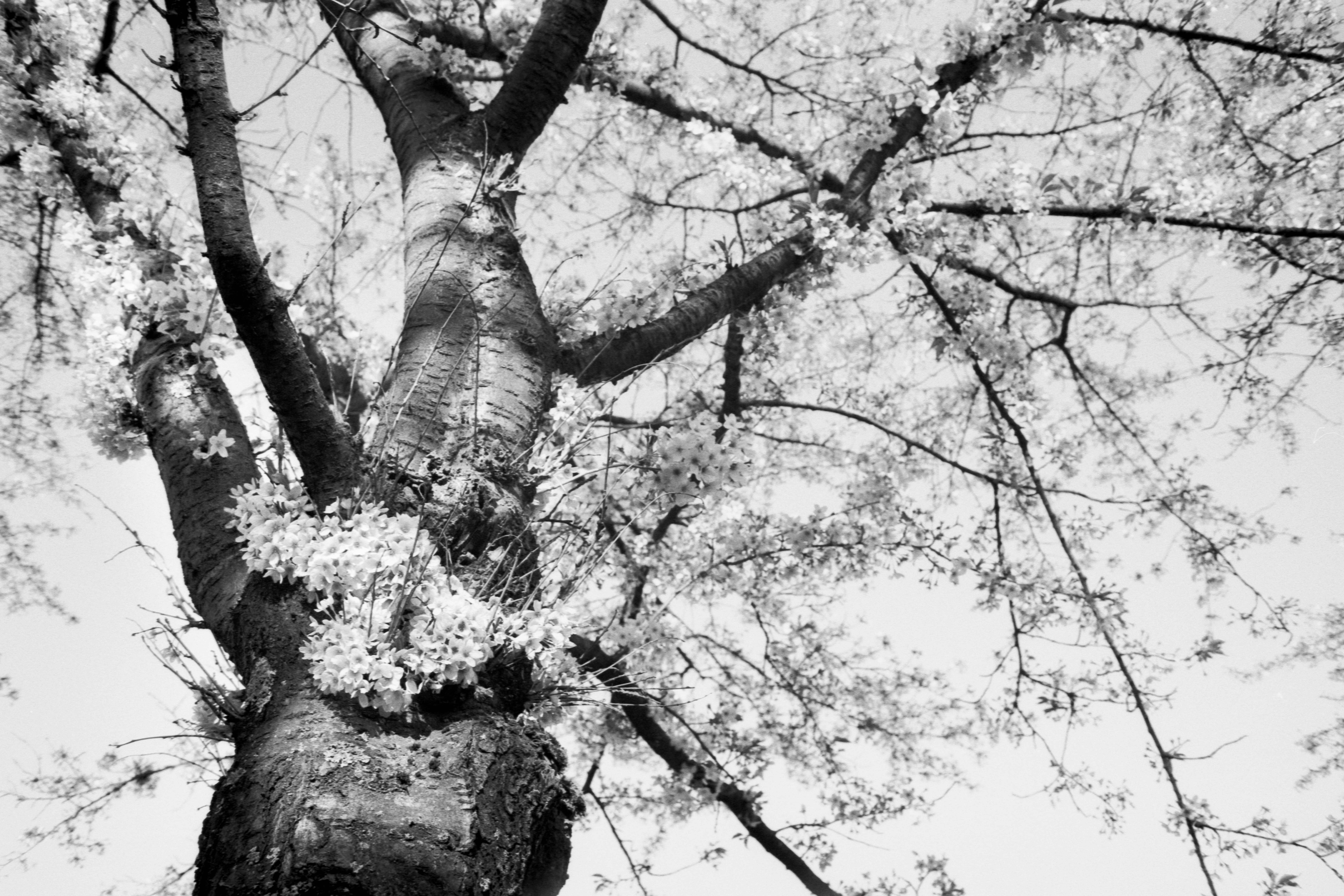 Photo by jeancarloemer