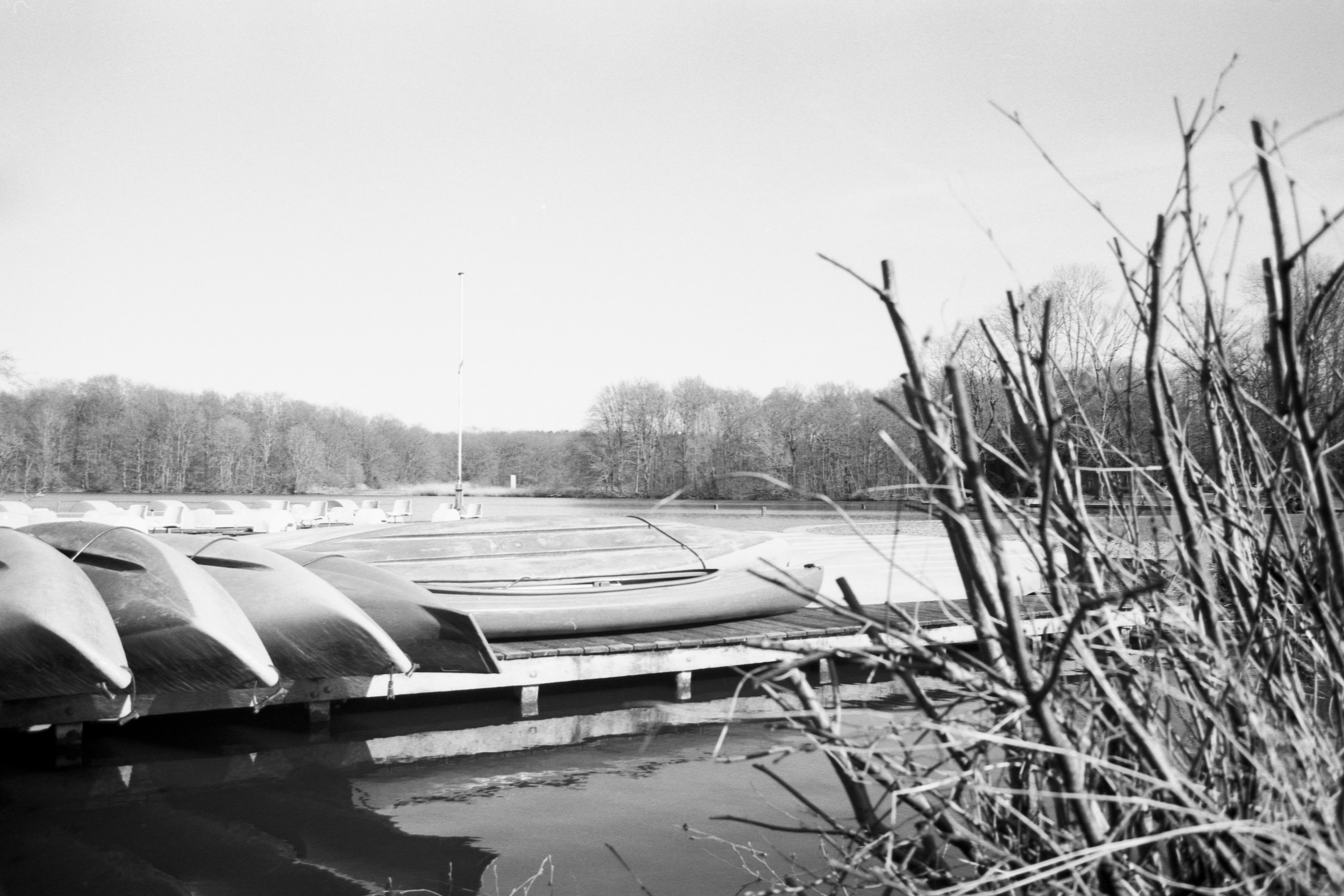 Photo by jeancarloemer