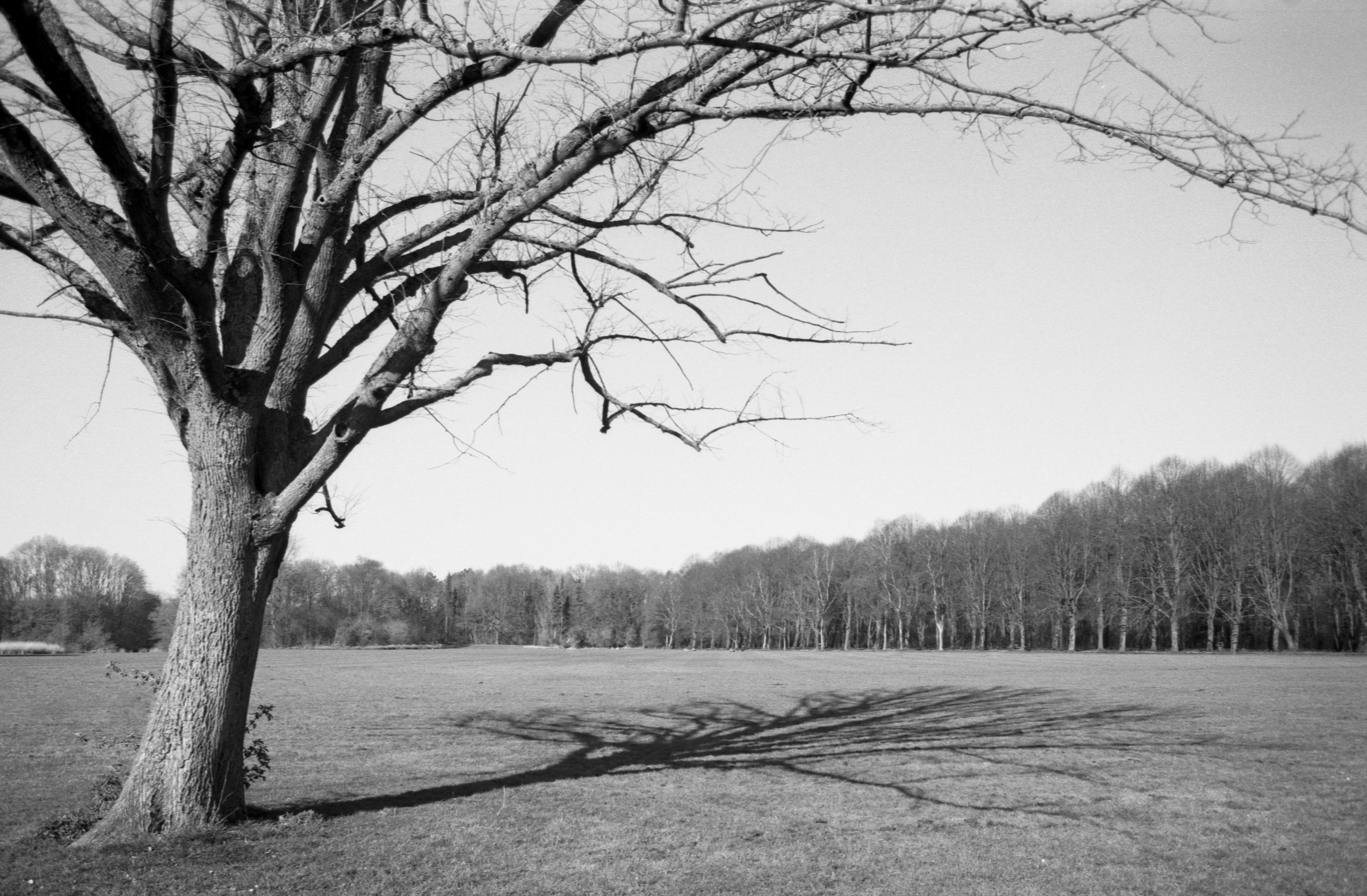 Photo by jeancarloemer