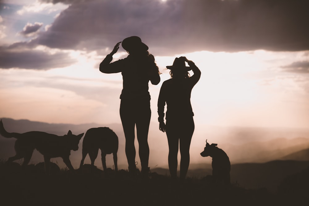 silhouette of 2 women standing on ground during sunset