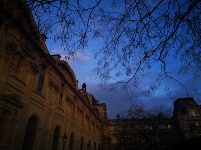 An elegant, historic building with intricate architectural details is set against a vivid blue evening sky. Bare branches frame the scene, adding depth and a touch of nature. Soft, warm lighting accentuates the features of the stone facade.