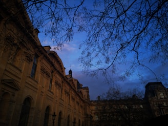 An elegant, historic building with intricate architectural details is set against a vivid blue evening sky. Bare branches frame the scene, adding depth and a touch of nature. Soft, warm lighting accentuates the features of the stone facade.