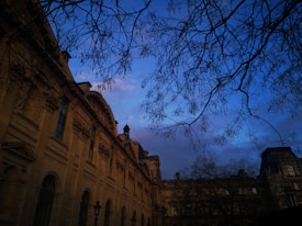 An elegant, historic building with intricate architectural details is set against a vivid blue evening sky. Bare branches frame the scene, adding depth and a touch of nature. Soft, warm lighting accentuates the features of the stone facade.