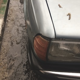 A vintage car with a dented front corner and rust marks is parked on a wet road. The left headlight and bumper show signs of wear. Two small leaves or twigs are resting on the car's hood.