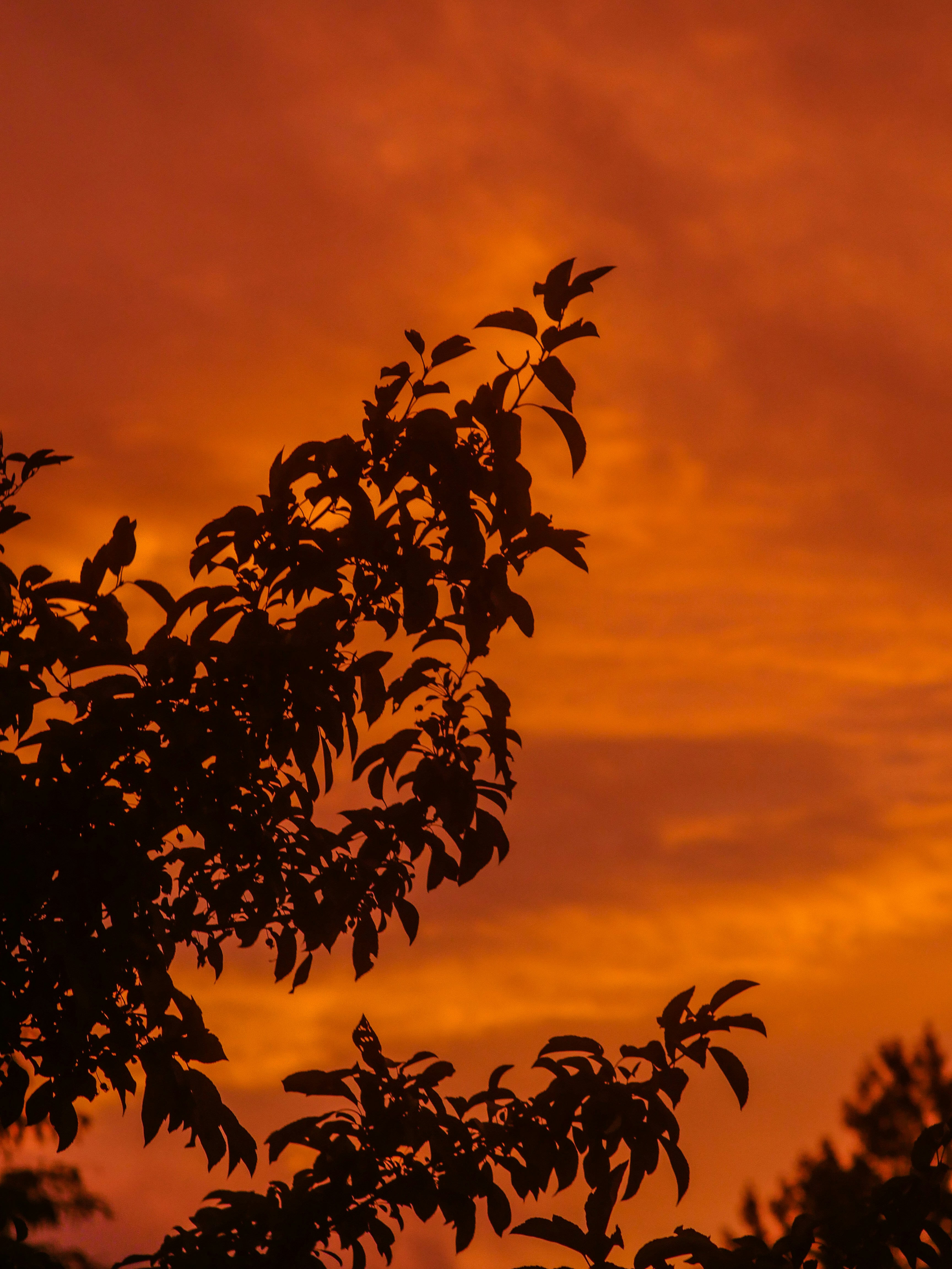 Photo by giobartlett