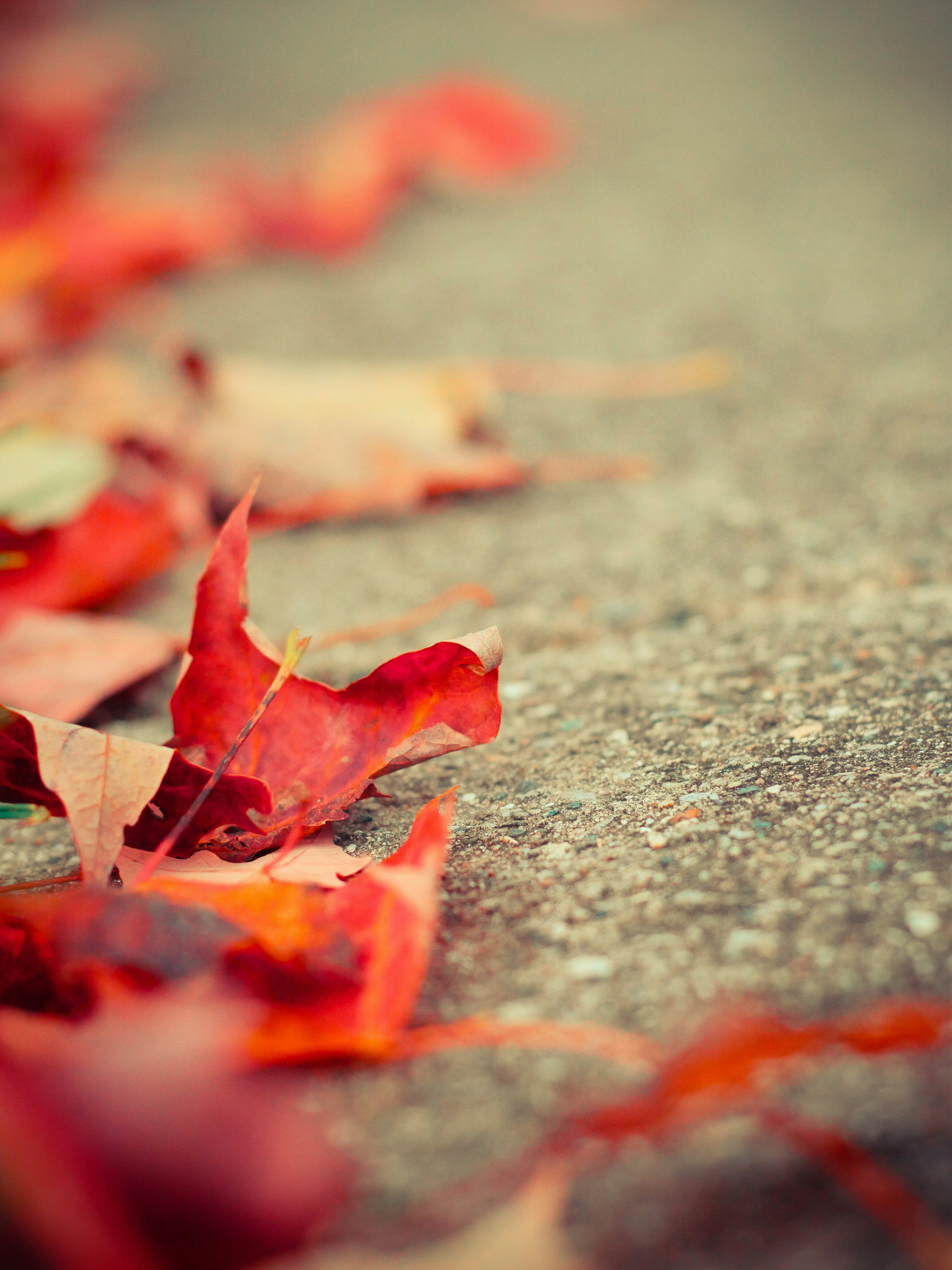 Photo by giobartlett