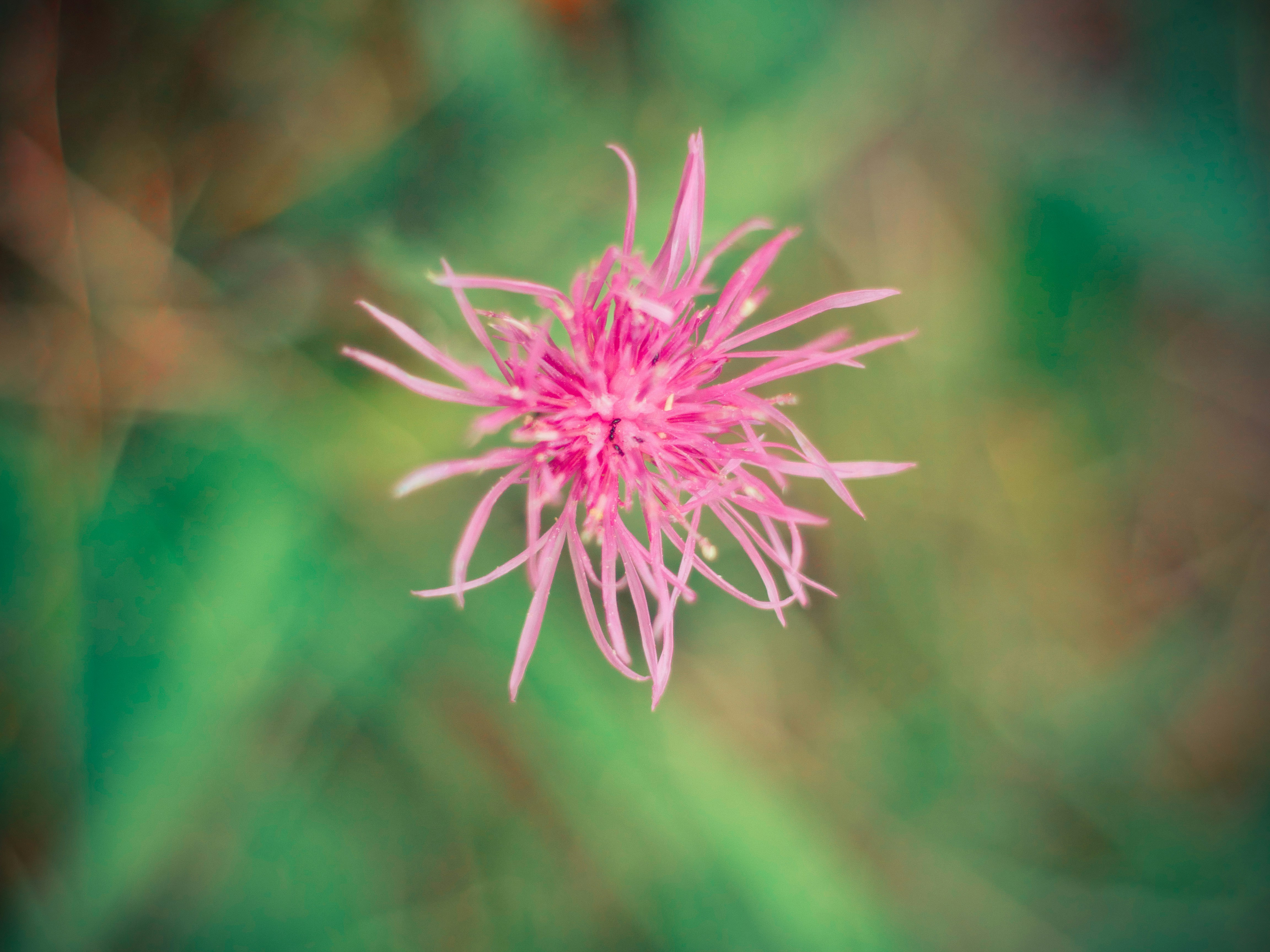 Photo by giobartlett