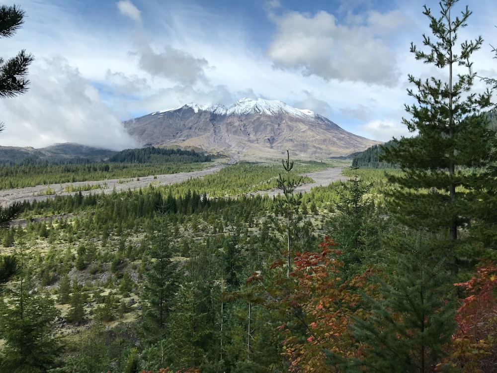 green trees near snow covered mountain under white clouds and blue sky during daytime