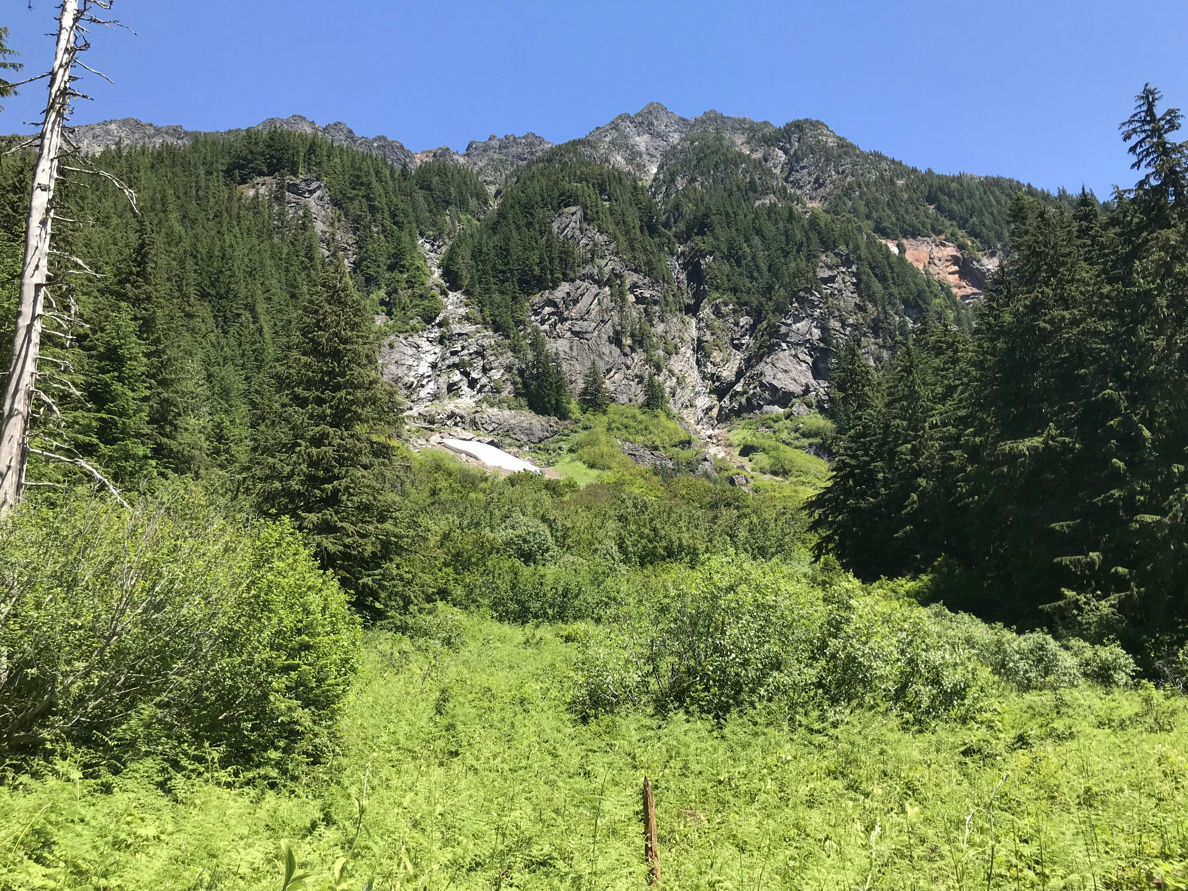 green trees near mountain during daytime