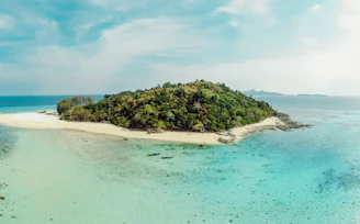 green trees on seashore under white clouds and blue sky during daytime