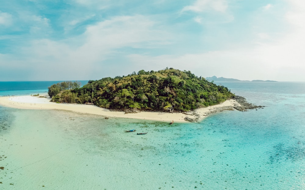 green trees on seashore under white clouds and blue sky during daytime