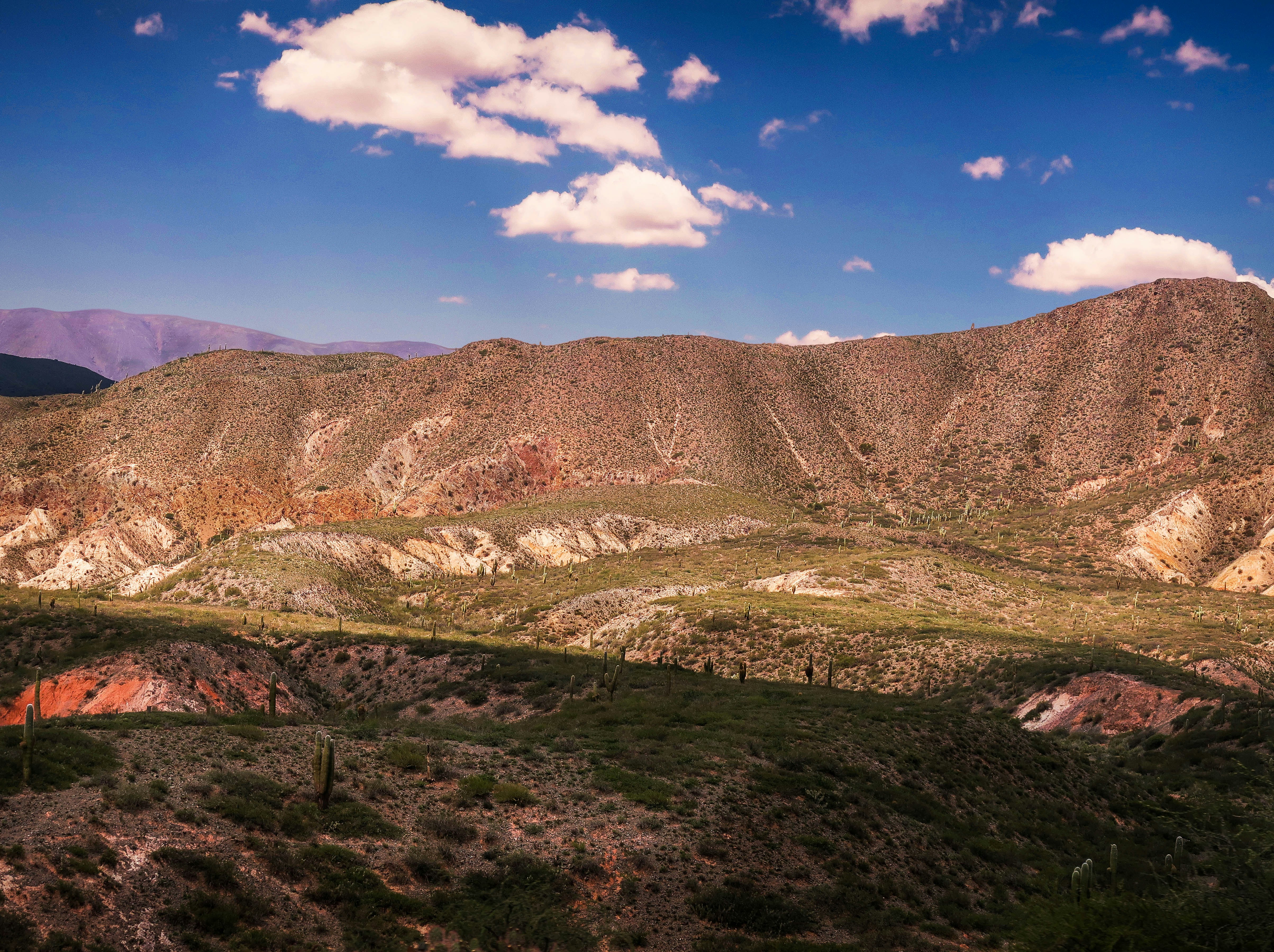 Photo by argentinanatural