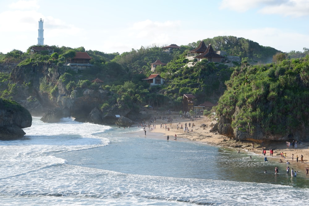 people on beach during daytime