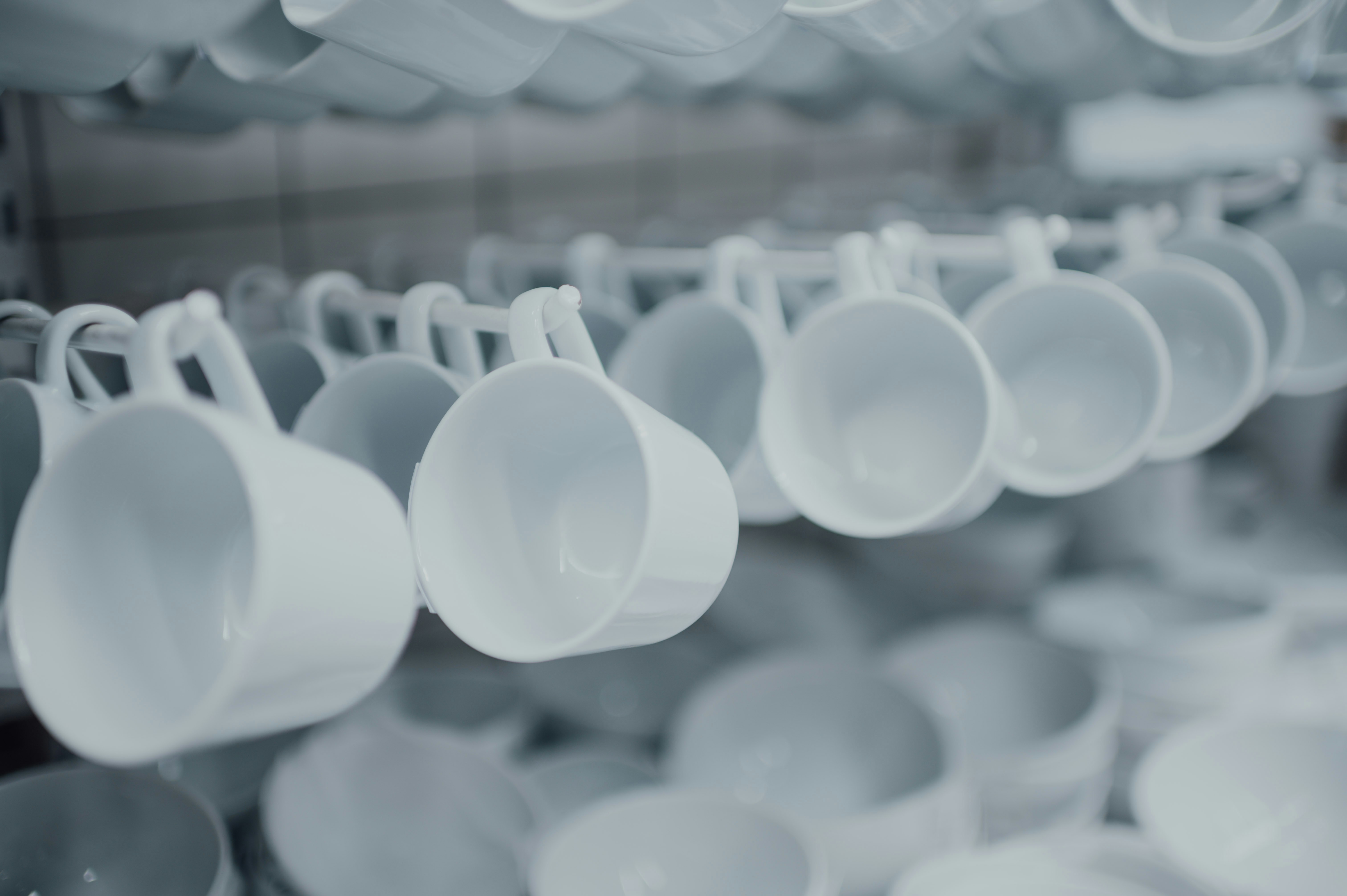 Photo by chuttersnap