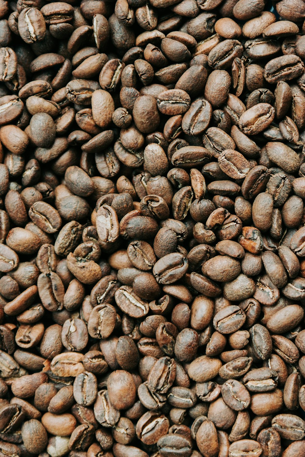 Granos de café marrón en fotografía de primer plano